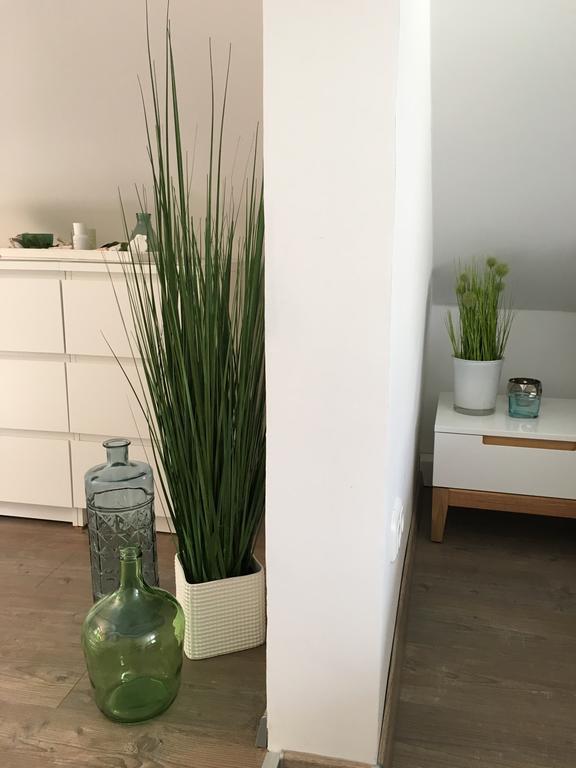 Ferienhaus Zur Mainpforte Майнц Екстериор снимка