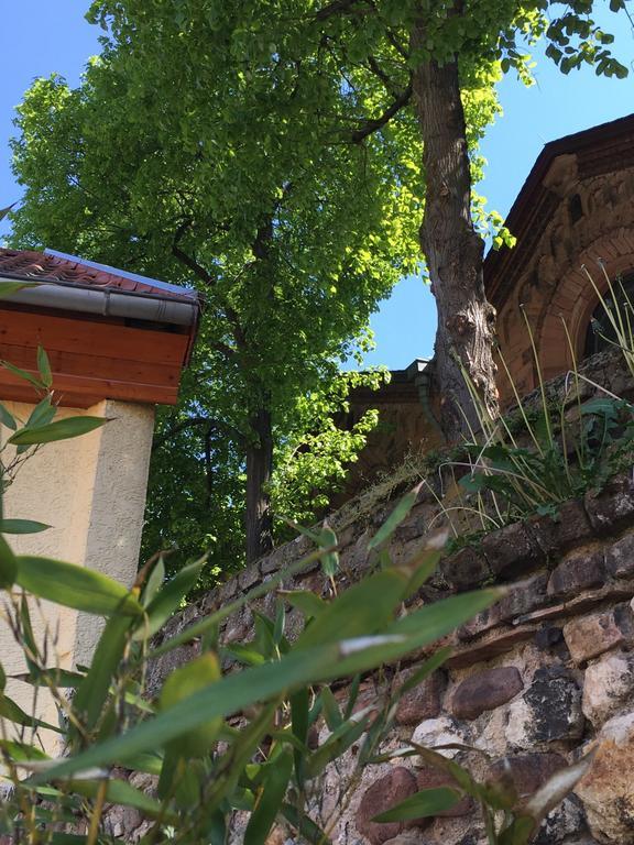 Ferienhaus Zur Mainpforte Майнц Екстериор снимка