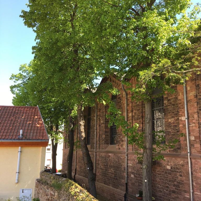 Ferienhaus Zur Mainpforte Майнц Екстериор снимка